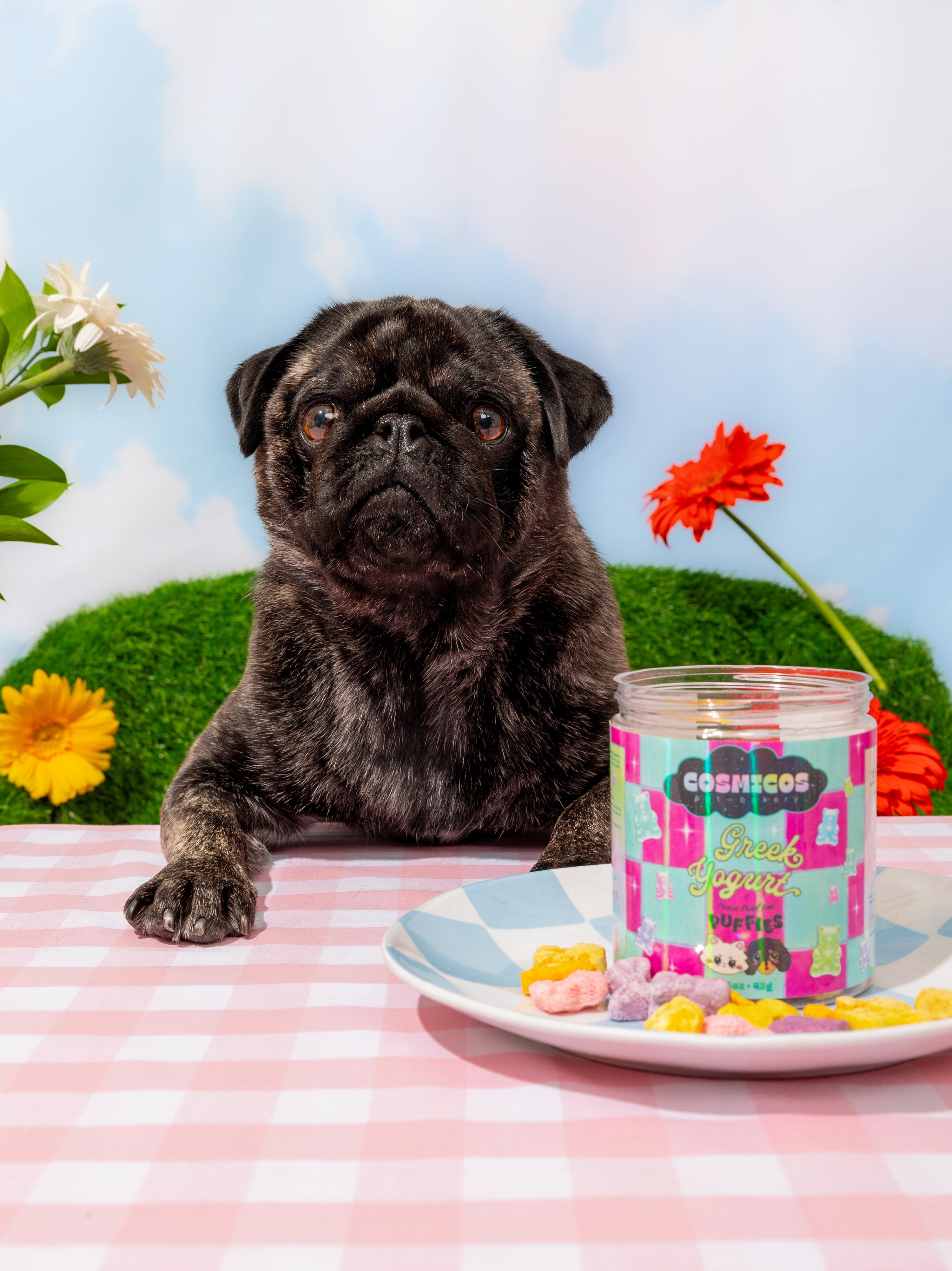 Greek Yogurt Bears  – Freeze-Dried Superfood Treats for Cats And Dogs