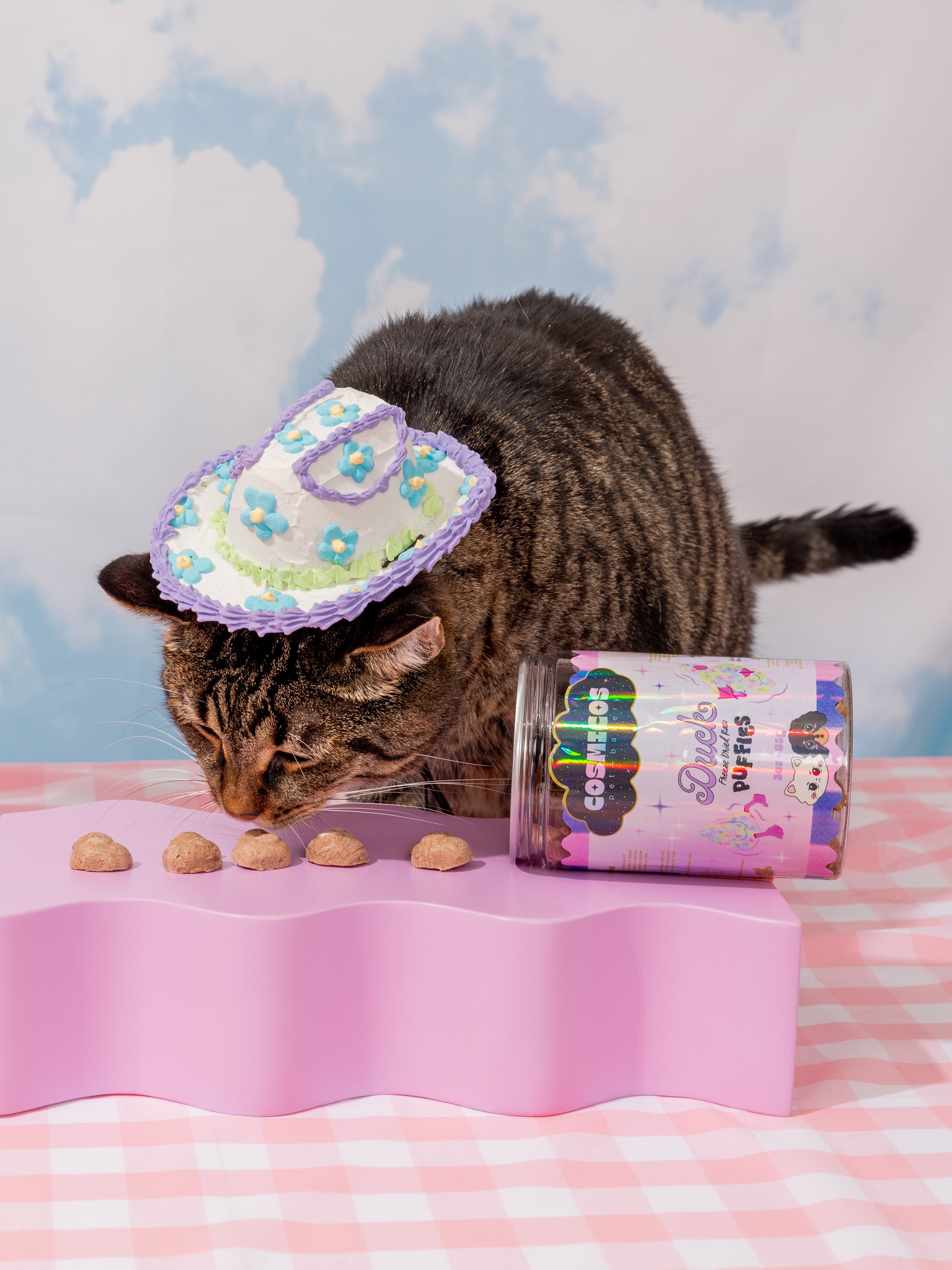 Duck Puffies – Freeze-Dried Whole Duck Treats for Cats And Dogs