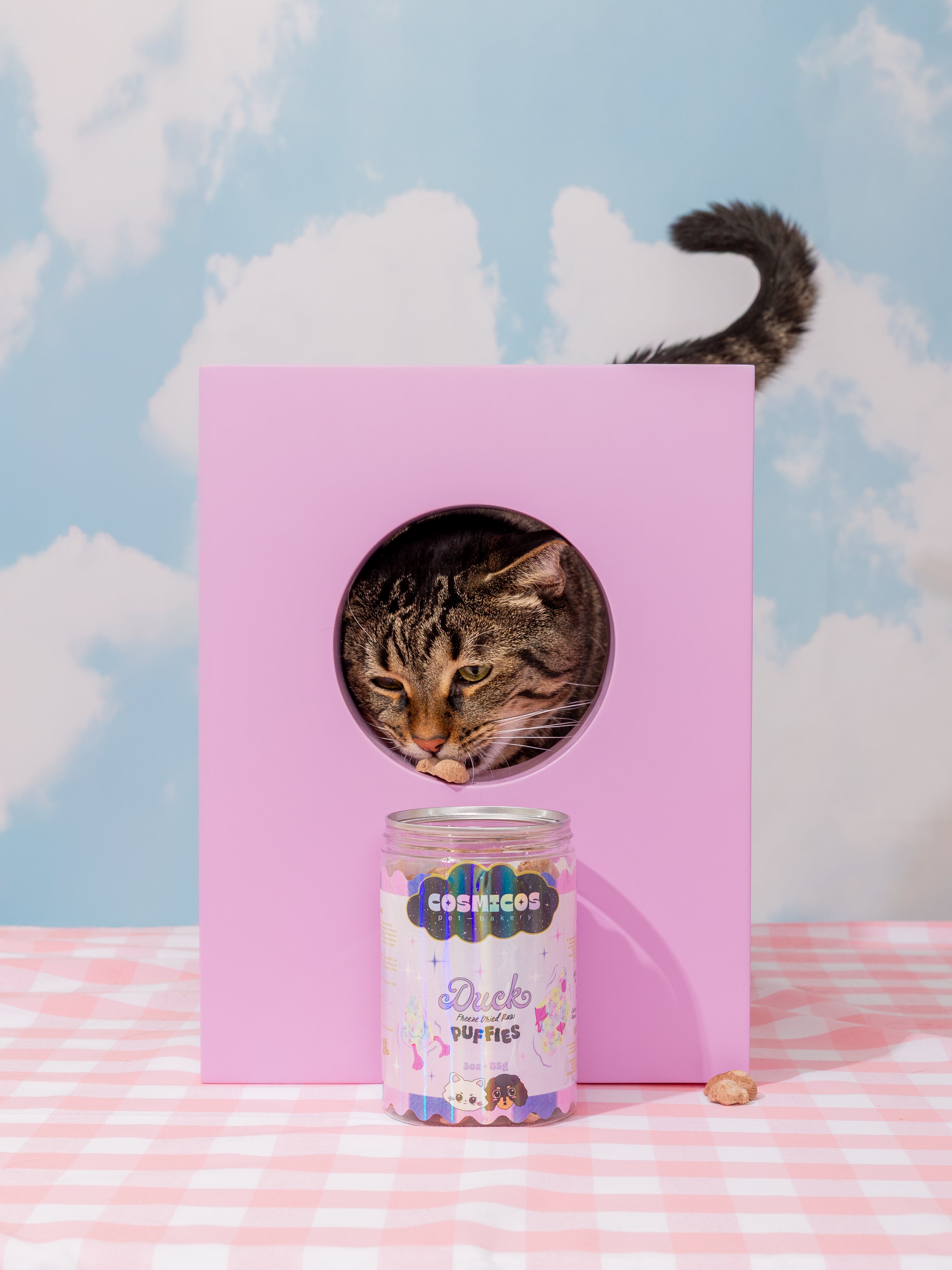 Duck Puffies – Freeze-Dried Whole Duck Treats for Cats And Dogs