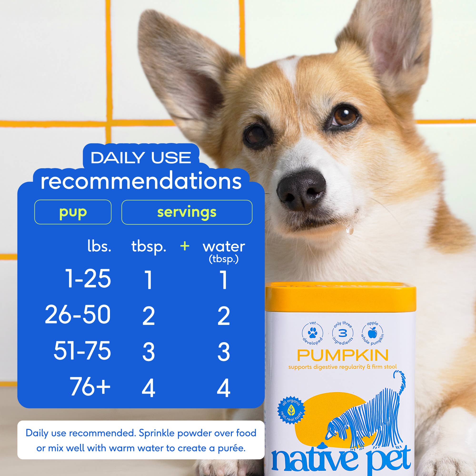 Native Pets - Organic Pumpkin Fiber Powder, Digestive Supplement for Dogs