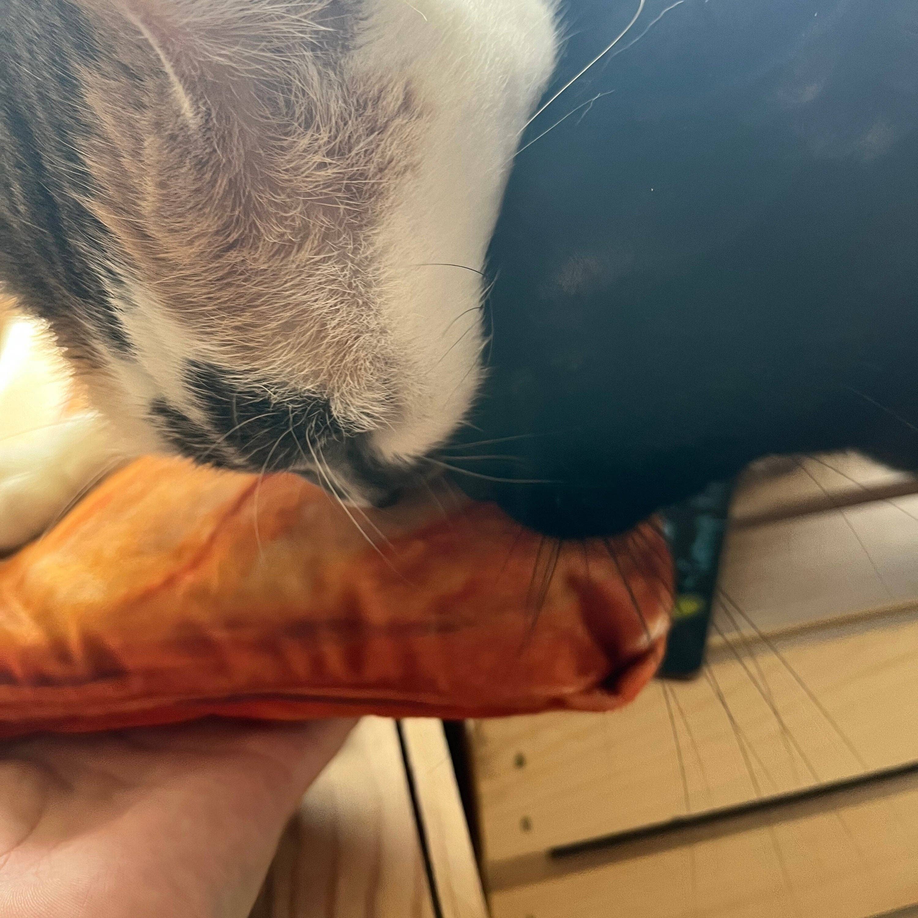 HaiKitti - REFILLABLE Loaf  CAT toy