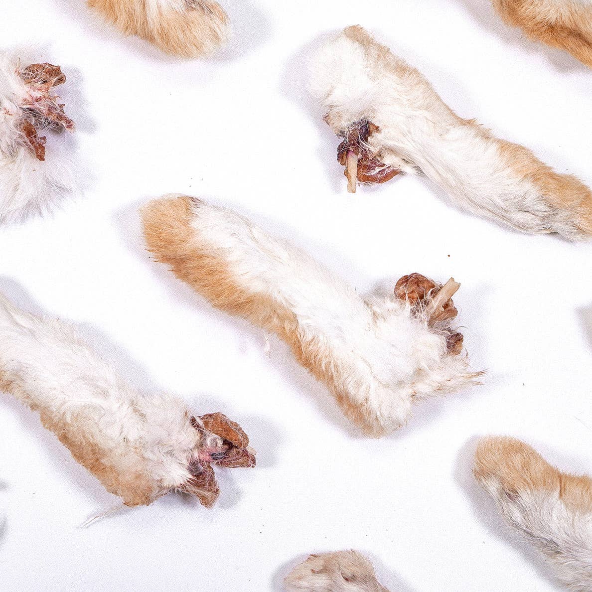Dehydrated Rabbit Feet