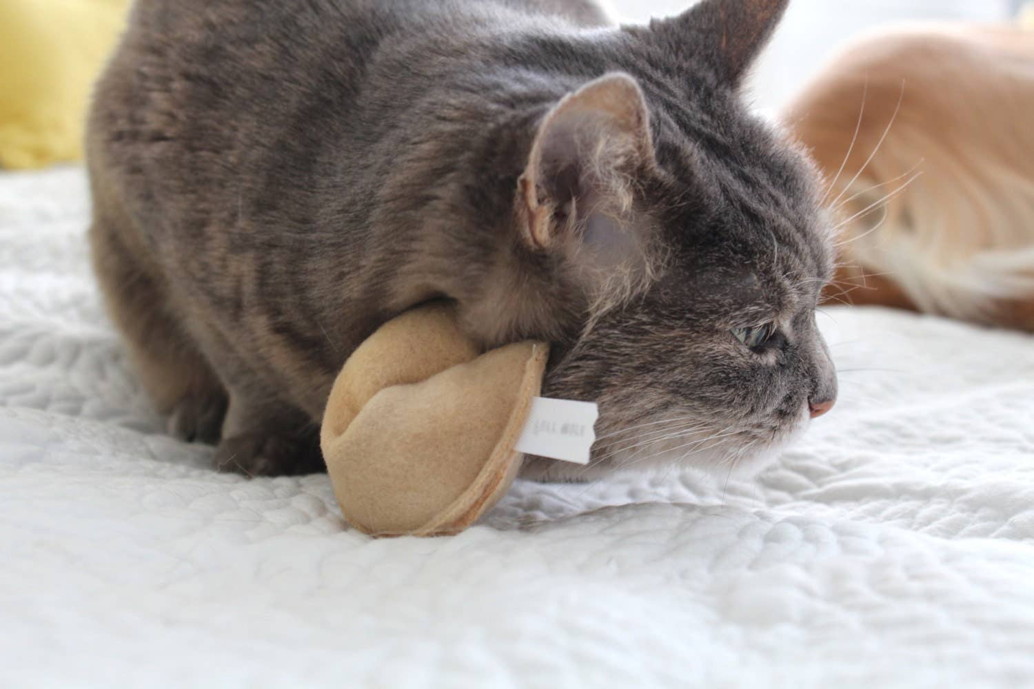 Miso Handmade - Cat Fortune Cookies 1 PIECE