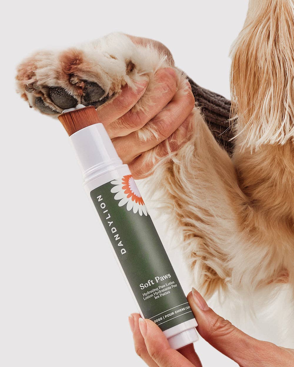 Dandylion - Soft Paws Hydrating Paw Lotion